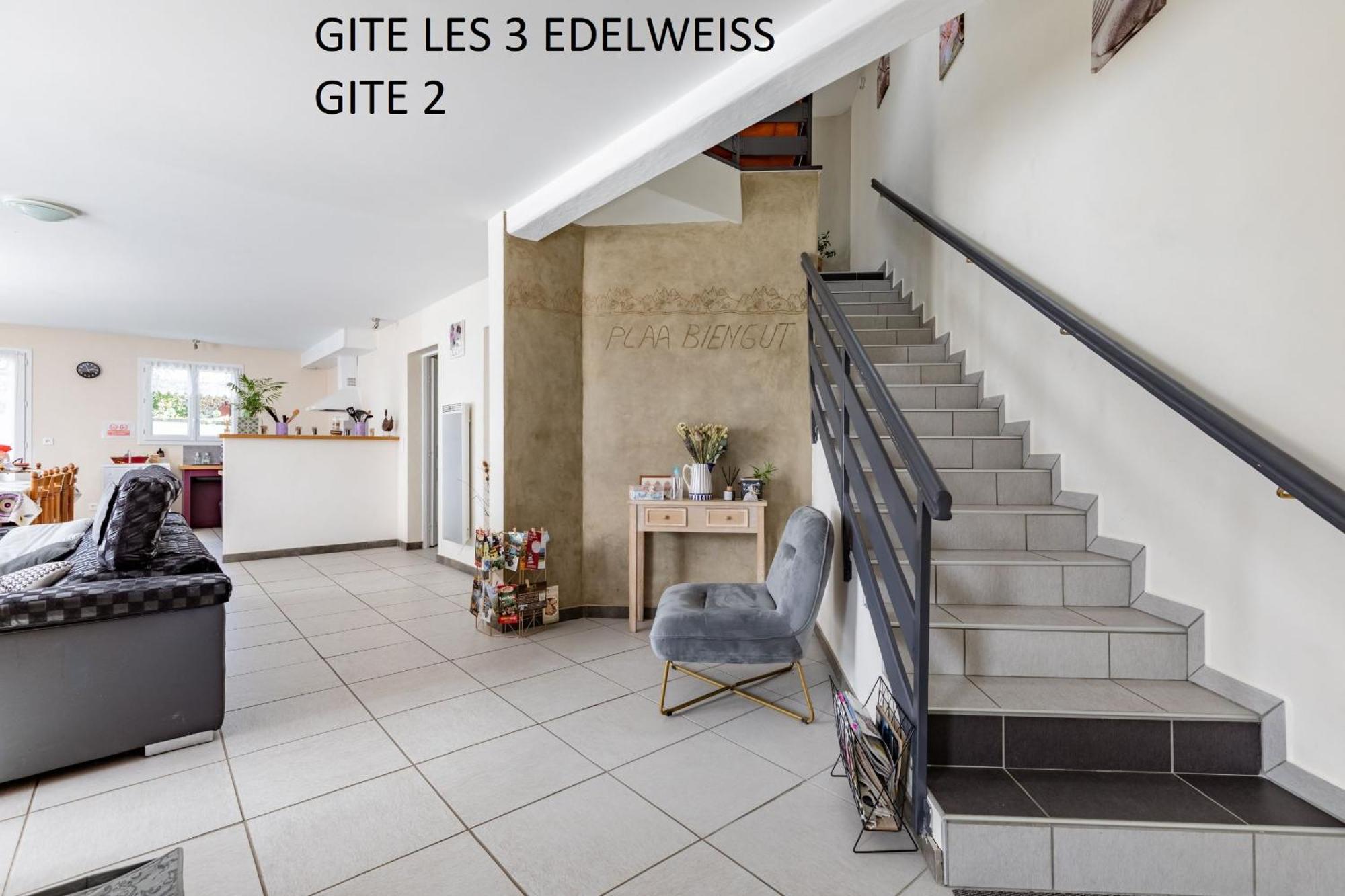 Les 3 Edelweiss - Gite 1 Ou Gite 2 Аретт Екстер'єр фото